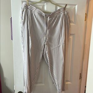 Striped White and Blue Women’s Ankle Pants Nwot